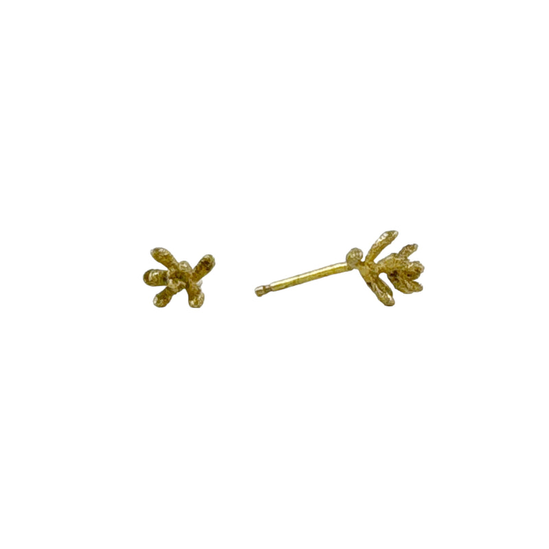 Succulent Gold Studs - Anja Jagsch