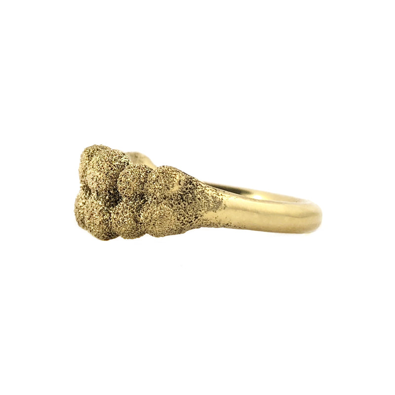 Unearthed Gold Ring  - Virginia Sprague