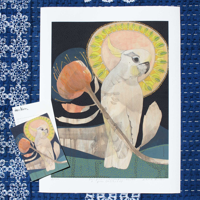 Sulphur Crested Cockatoo and Pin Cushion print - Dana Kinter